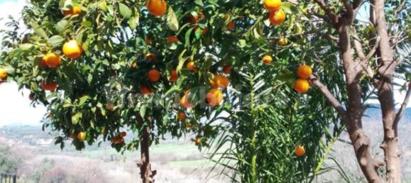 Дом с 3 спальнями в Фара ин Сабина, Италия № 277987 10