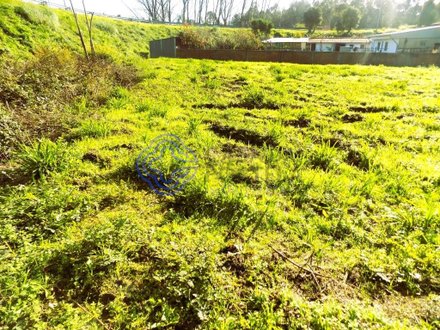 1738m² Land in Nogueira da Regedoura, Portugal No. 149543