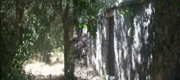 Grundstück in Palazzolo Acreide, Italy 3500m², Nr. 252626 5