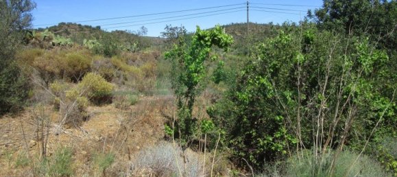 Terreno en Alcoutim, Portugal 3920 m² No. 69758 9