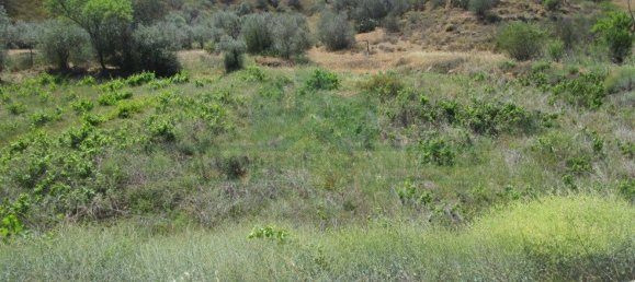 Terreno en Alcoutim, Portugal 3920 m² No. 69758 4