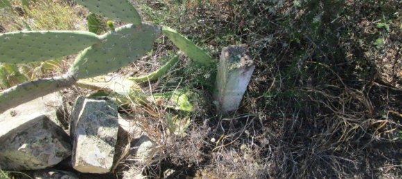 Terreno en Alcoutim, Portugal 3920 m² No. 69758 13