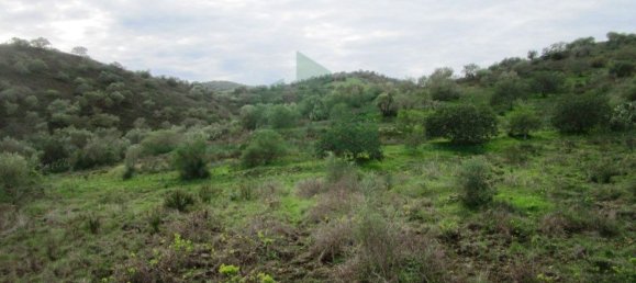 Terreno en Alcoutim, Portugal 3920 m² No. 69758 22