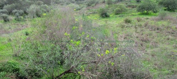 Terreno en Alcoutim, Portugal 3920 m² No. 69758 16