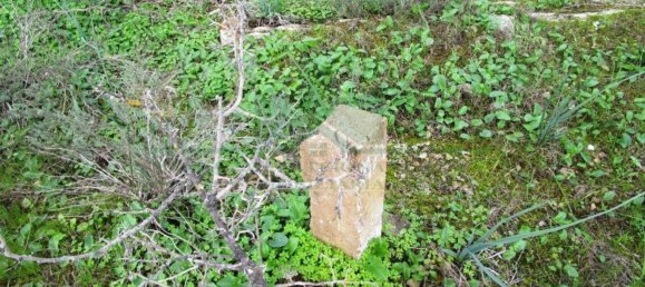 Terreno en Alcoutim, Portugal 3920 m² No. 69758 20