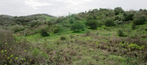 Terreno en Alcoutim, Portugal 3920 m² No. 69758 23