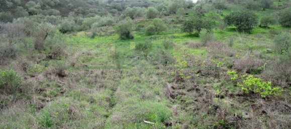 Terreno en Alcoutim, Portugal 3920 m² No. 69758 17