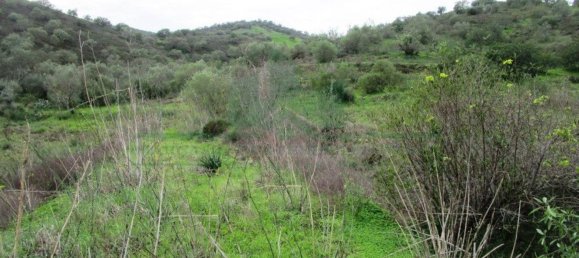 Terreno en Alcoutim, Portugal 3920 m² No. 69758 15