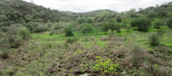 Terreno en Alcoutim, Portugal 3920 m² No. 69758 19