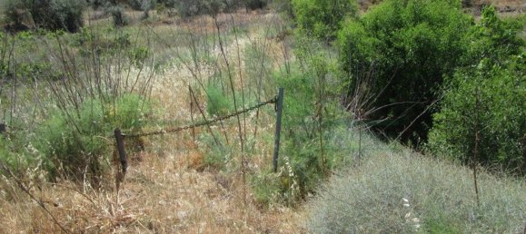 Terreno en Alcoutim, Portugal 3920 m² No. 69758 6