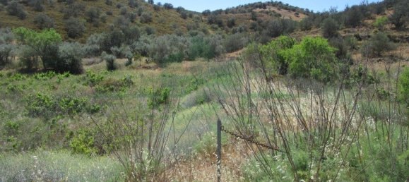 Terreno en Alcoutim, Portugal 3920 m² No. 69758 7