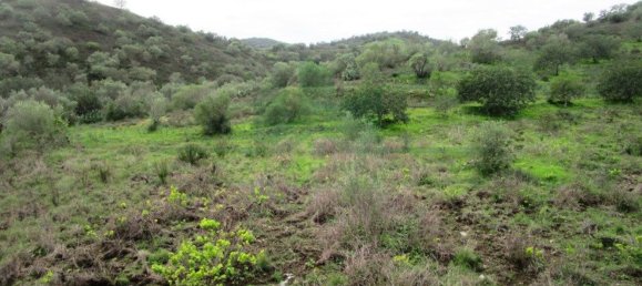 Terreno en Alcoutim, Portugal 3920 m² No. 69758 18