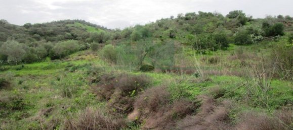 Terreno en Alcoutim, Portugal 3920 m² No. 69758 24