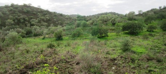 Terreno en Alcoutim, Portugal 3920 m² No. 69758 3