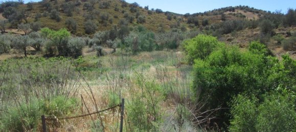 Terreno en Alcoutim, Portugal 3920 m² No. 69758 8