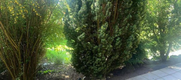 Adosado de 4 habitaciónes en Roth, Germany No. 353131 11