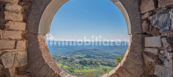 Дом с 5 спальнями в Монтеротондо Мариттимо, Италия № 116617 14