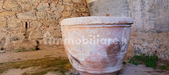 Дом с 5 спальнями в Монтеротондо Мариттимо, Италия № 116617 22