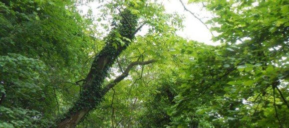 Terreno em St. Andra-Wordern, Austria N.º 223174 12