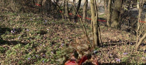 Terreno em St. Andra-Wordern, Austria N.º 223174 11