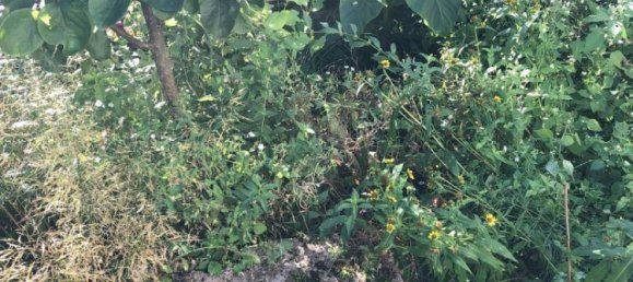 Casa de 6 divisões em Ybbsitz, Austria N.º 16667 21