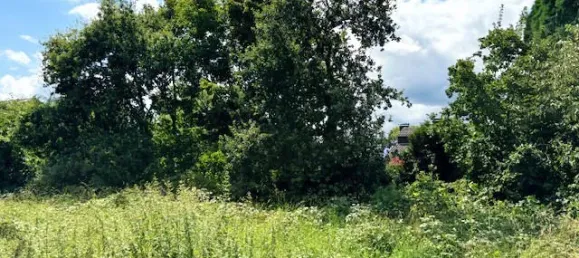  Land in Viersen, Germany No. 177636 5