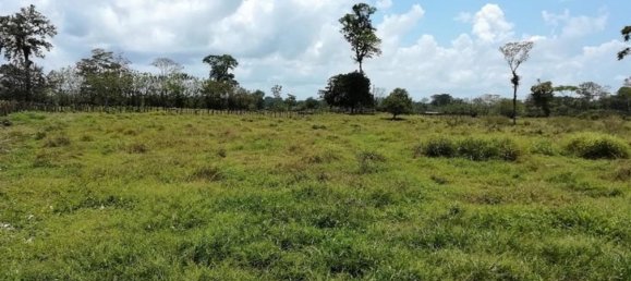 قطعة أرض في Puerto Viejo, Costa Rica رقم 1635 3