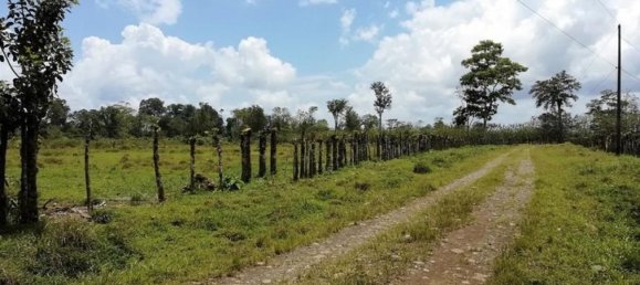قطعة أرض في Puerto Viejo, Costa Rica رقم 1635 2
