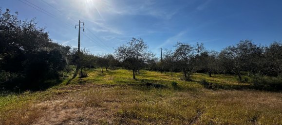 Grundstück in Loule, Portugal 1490m², Nr. 78093 10