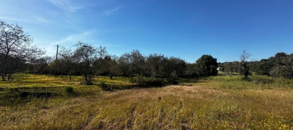 Grundstück in Loule, Portugal 1490m², Nr. 78093 12
