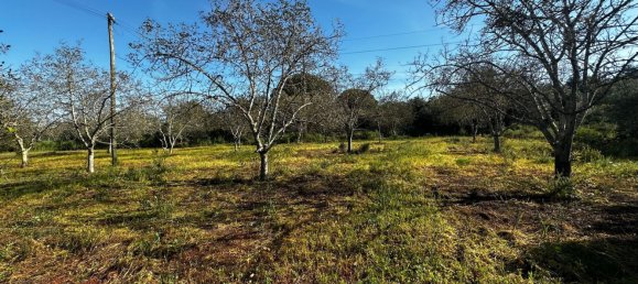 Grundstück in Loule, Portugal 1490m², Nr. 78093 16