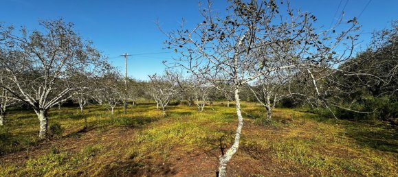 Grundstück in Loule, Portugal 1490m², Nr. 78093 13