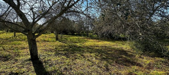 Grundstück in Loule, Portugal 1490m², Nr. 78093 7