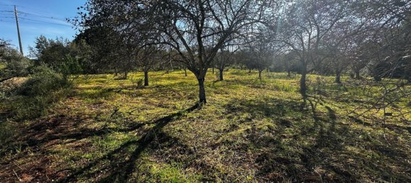 Grundstück in Loule, Portugal 1490m², Nr. 78093 3