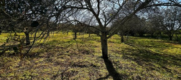 Grundstück in Loule, Portugal 1490m², Nr. 78093 5