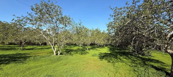 Grundstück in Loule, Portugal 1490m², Nr. 78093 9