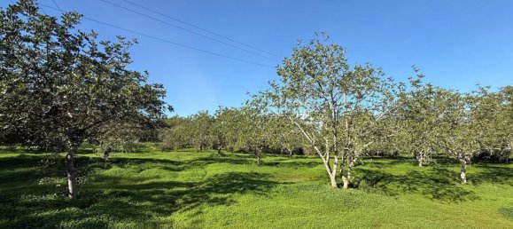 Grundstück in Loule, Portugal 1490m², Nr. 78093 8