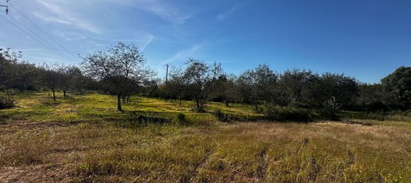 Grundstück in Loule, Portugal 1490m², Nr. 78093 11