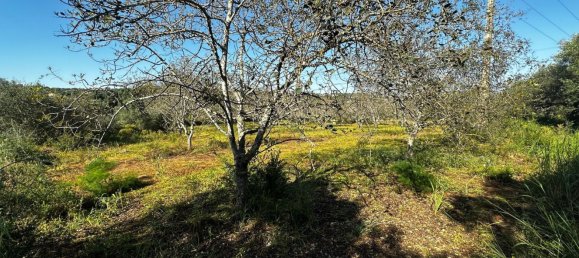 Grundstück in Loule, Portugal 1490m², Nr. 78093 15