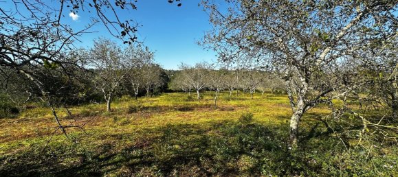 Grundstück in Loule, Portugal 1490m², Nr. 78093 2