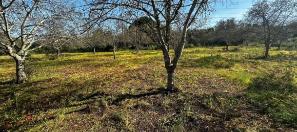 Grundstück in Loule, Portugal 1490m², Nr. 78093 6