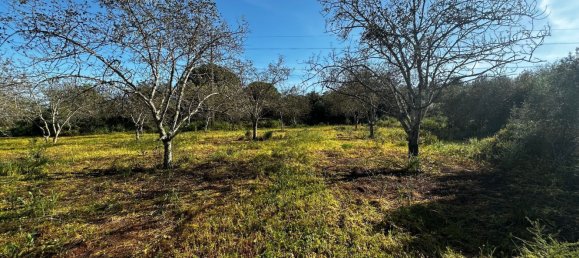 Grundstück in Loule, Portugal 1490m², Nr. 78093 14
