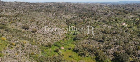  Castillos de 3 dormitorios en Marvao, Portugal No. 141704 39