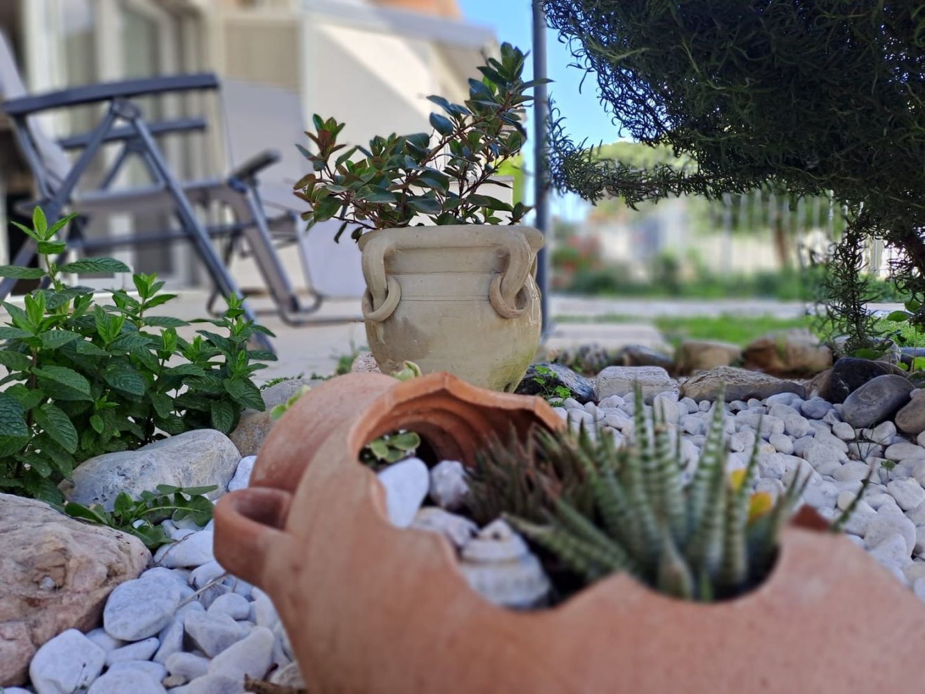 5 rooms House in Cecina, Italy No. 71295