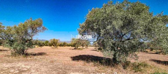 1 Schlafzimmer Haus in Tarragona, Spain, Nr. 172826 12