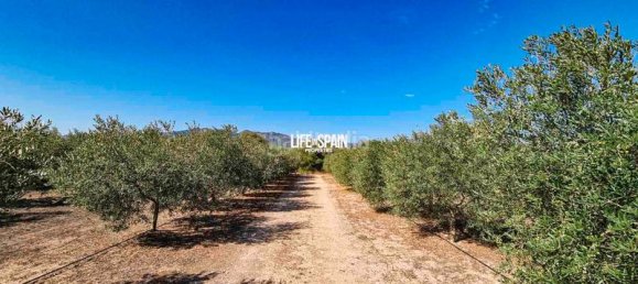 1 Schlafzimmer Haus in Tarragona, Spain, Nr. 172826 15