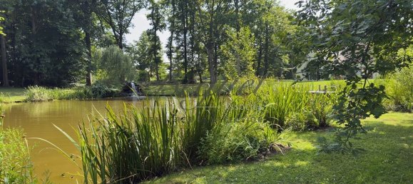 4 غرف نوم فيلا في Montfort-l'Amaury, France رقم 346388 10