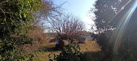 4 غرف نوم منزل في Villorba, Italy رقم 342034 11