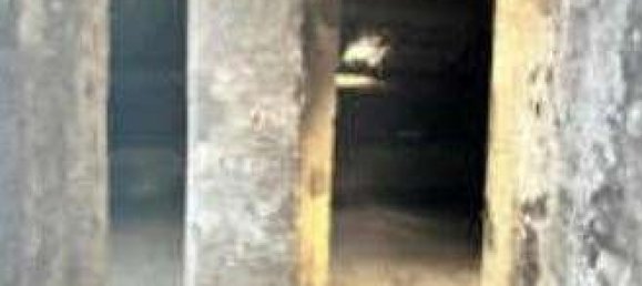 1 غرف نوم شقة في Milan, Italy رقم 241059 10