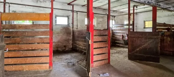 Granja de 25 habitaciónes en Ilm-Kreis, Germany No. 293829 9